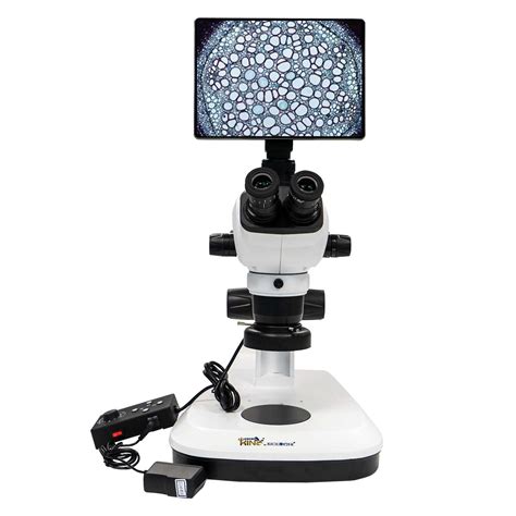 Trinocular Microscope, Eyepiece 10X/23mm, with 10.5 inch Android smart ...