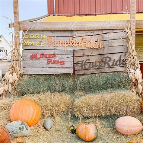 How to Make a DIY Pumpkin Patch Sign | CraftCuts.com