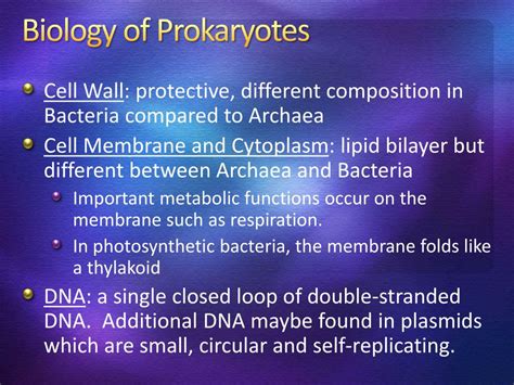 Image result for Course Prokaryotes