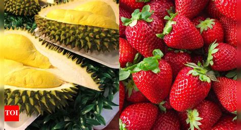 10 Most expensive fruits from all around the world - The Times of India