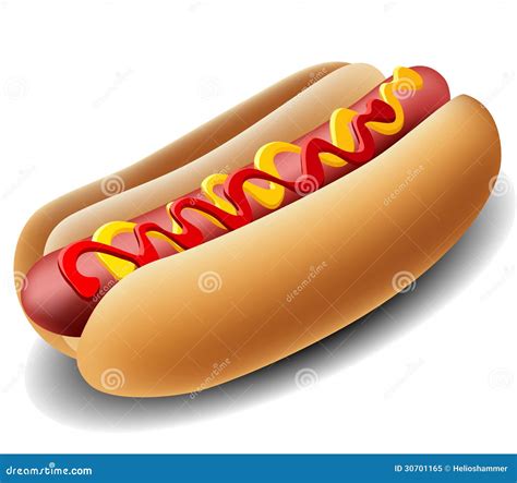 Realistic hot dog stock vector. Illustration of bread - 30701165
