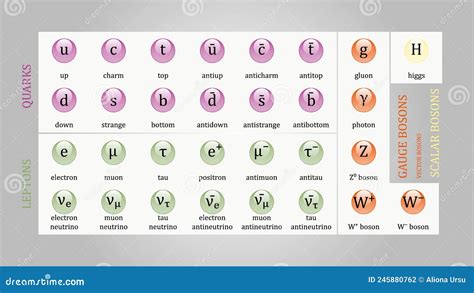 Standard Model 的图像结果