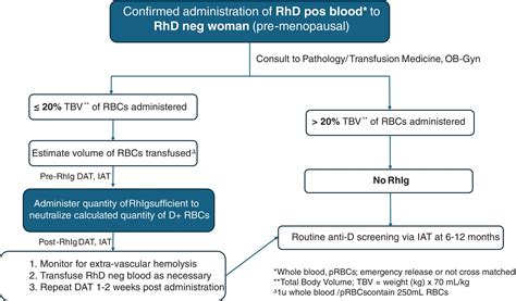 How I do it: An institutional protocol for the management of RhD negative women who receive RhD ...