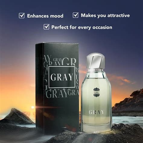 Buy Gray EDP 100ml | Citrus Woody Leather Perfume for Men – Ajmal ...