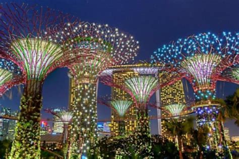 Jimmy Loh (Singapore) - All You Need to Know BEFORE You Go