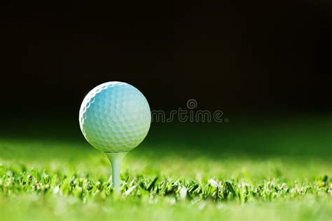 高尔夫球运动4_素材中国sccnn.com