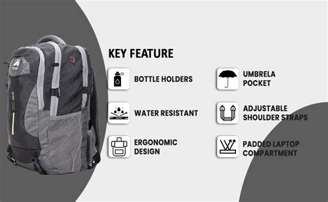 Buy POLESTAR Cargo 40 L Office/College/Casual Rucksack Backpack with 15 ...