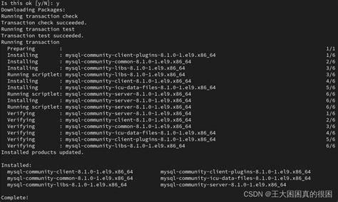 Linux MySQL 的图像结果