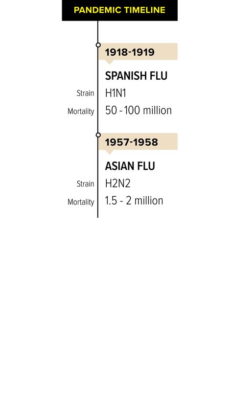Preparing for the next flu pandemic
