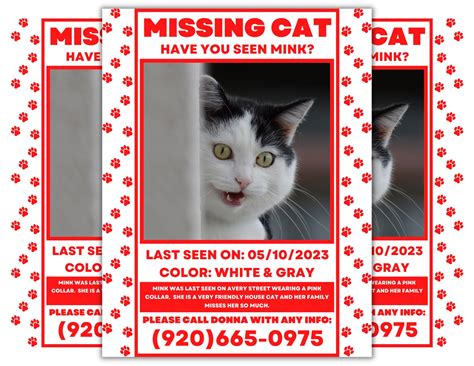 Lost Cat Poster Template