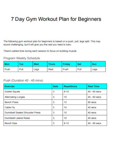 Example Workout Schedule 的图像结果