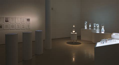 Ecosystem of Excess, 2014 - Pinar Yoldas