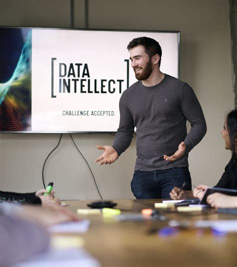 Data Intellect 的图像结果