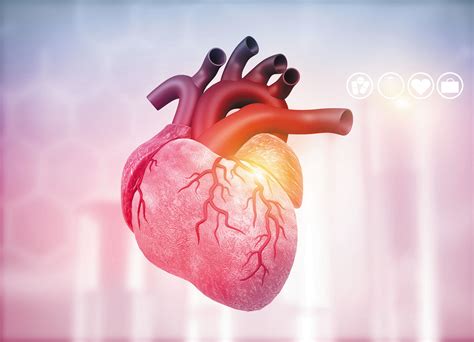 Look inside your heart - Harvard Health