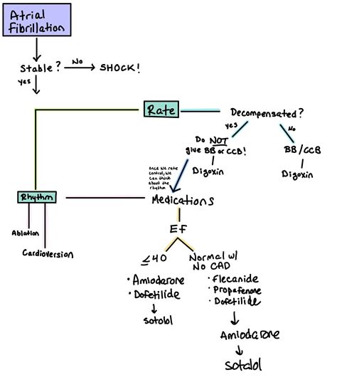 Atrial Fibrillation (AF) Medications — When the Beat Drops: A Resident's Guide to the CCU