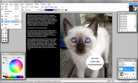 Paint.net Tools 的图像结果