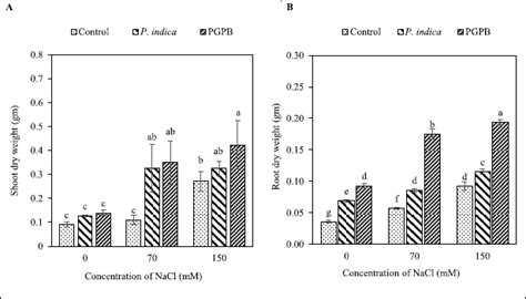 Augmentative role of Piriformospora indica fungus and plant growth ...