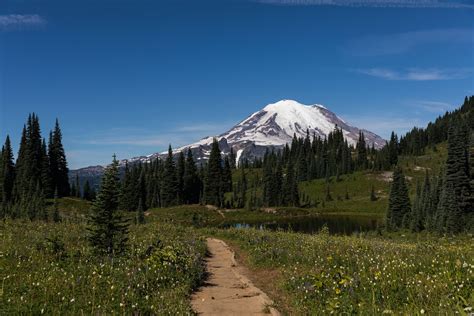 The 12 Best Mt Rainier Hikes For Beginners — Nichole the Nomad