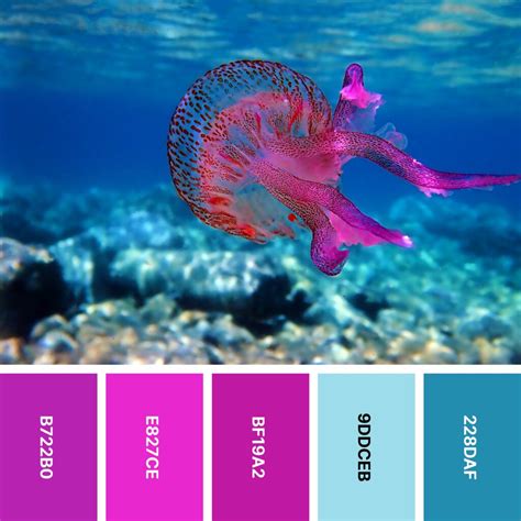 Coral Reef Color Swatch