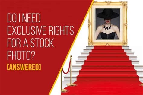 Exclusive Community Free Stock 的图像结果