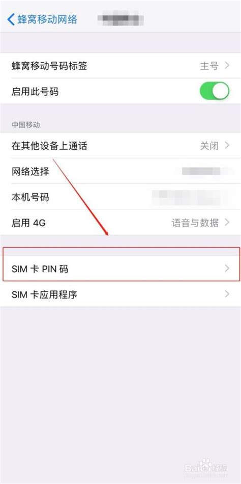 苹果手机sim卡pin码忘了怎么办（简述苹果手机sim卡pin码忘了怎么办）
