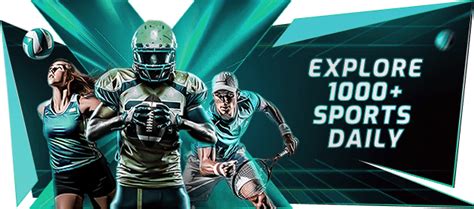 Winexchange Official Sports News Platform | Winexch
