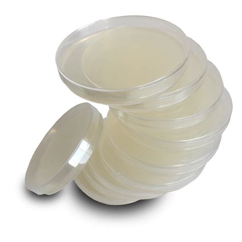 Microbiology Agar Plates