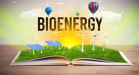 Bioenergy Picture Example 的图像结果