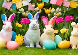 Image result for Fluffy Bunnies Free to Use Images