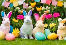 Image result for Spring Bunnies Cartoon