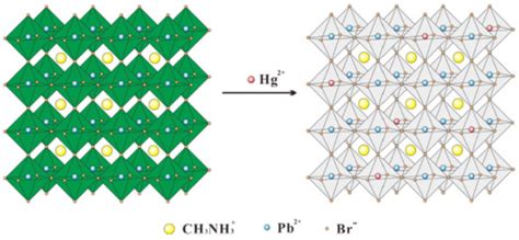 Application of Perovskite Nanocrystals as Fluorescent Probes in the ...