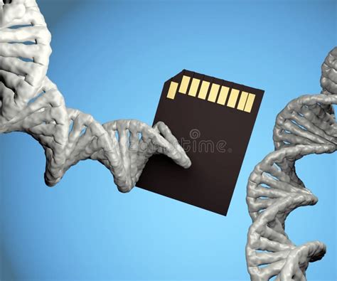DNA digital data storage Data Encoding 的图像结果