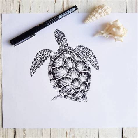 Sea Turtles Drawings For Kids