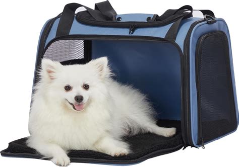 Amazon Small Dog Carrier at Blake Pardey blog
