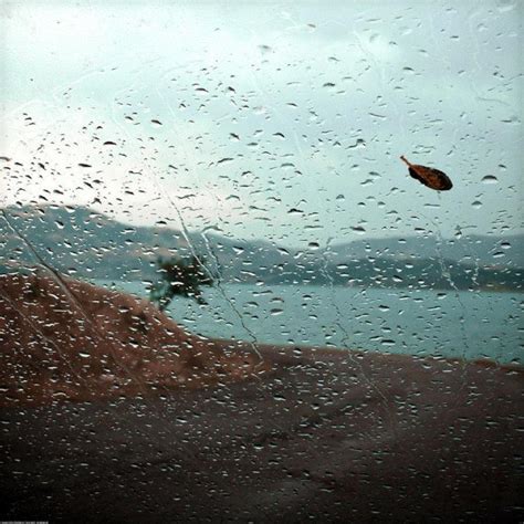 手機壁紙—你住的城市下雨了，我想問你有沒有帶傘 - 每日頭條