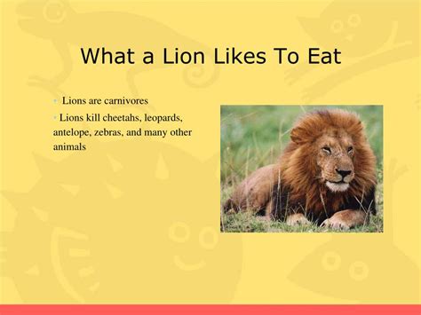 Image result for Random Python Syntax