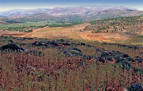 Shiloh was a city in the tribe of Ephraim