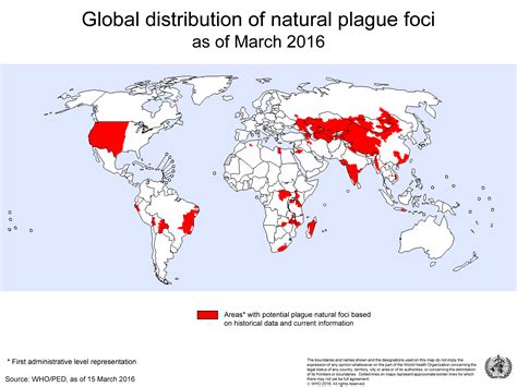 Bubonic Plague World Map