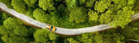 Roadside Assistance for Uncertain Times: Navigating Unexpected ...