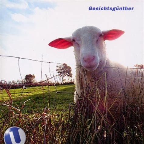 Gesichtsguenther: U-Bahn Kontroloerre in Ti: Amazon.in: Music}