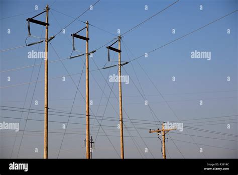 Distribution Power Lines 的图像结果