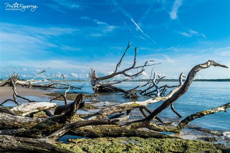 Reisetipps Big Talbot Island State Park: 2022 das Beste in Big Talbot ...