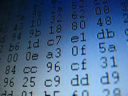 Image result for Machine Code