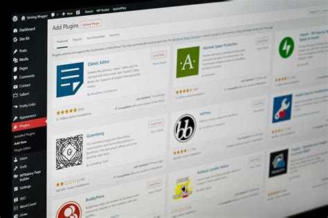 Top 15 Patagonia Competitors & Alternatives | Business Strategy Hub