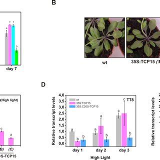 Image result for TCP Connection Management Diagram