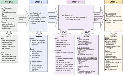 Management of Heart Failure Patients with Reduced Ejection Fraction - Clinical Tree