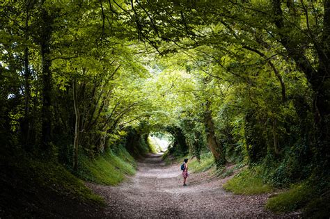 Nikon D700 Review: Legendary 12MP DSLR | MPB