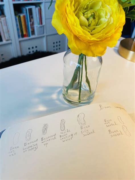 Science Notebook Example 的图像结果