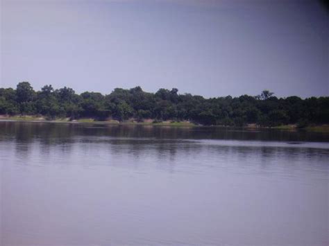 Amazon River Pictures - Traveller Photos of Amazon River, AM - Tripadvisor
