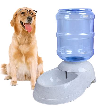 Giant Dog Water Bowl | atelier-yuwa.ciao.jp